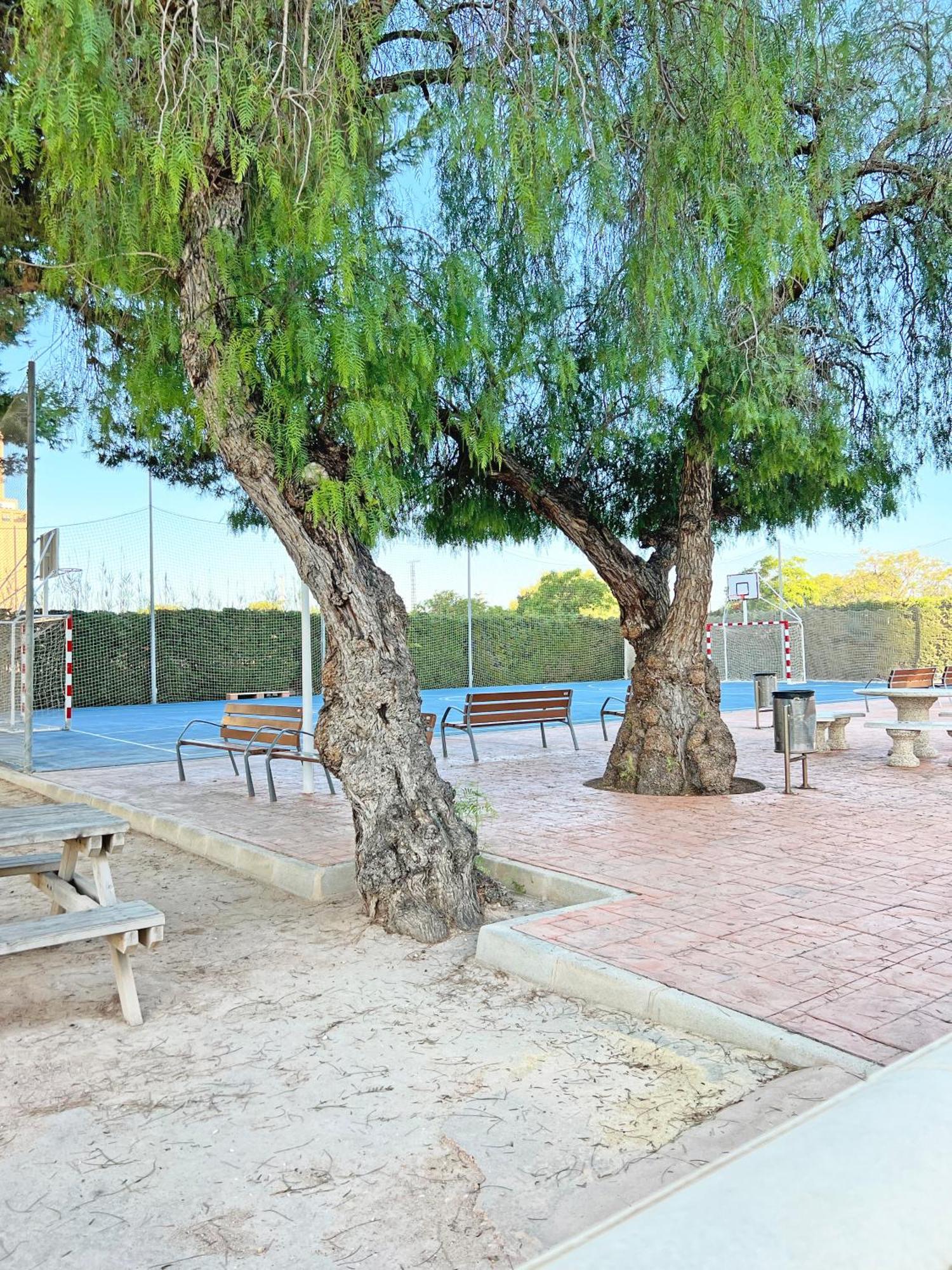 Coqueto Con Piscina, Nuevo A 50M Del Mar, Parking Gratis Apartment Ел Кампело Екстериор снимка