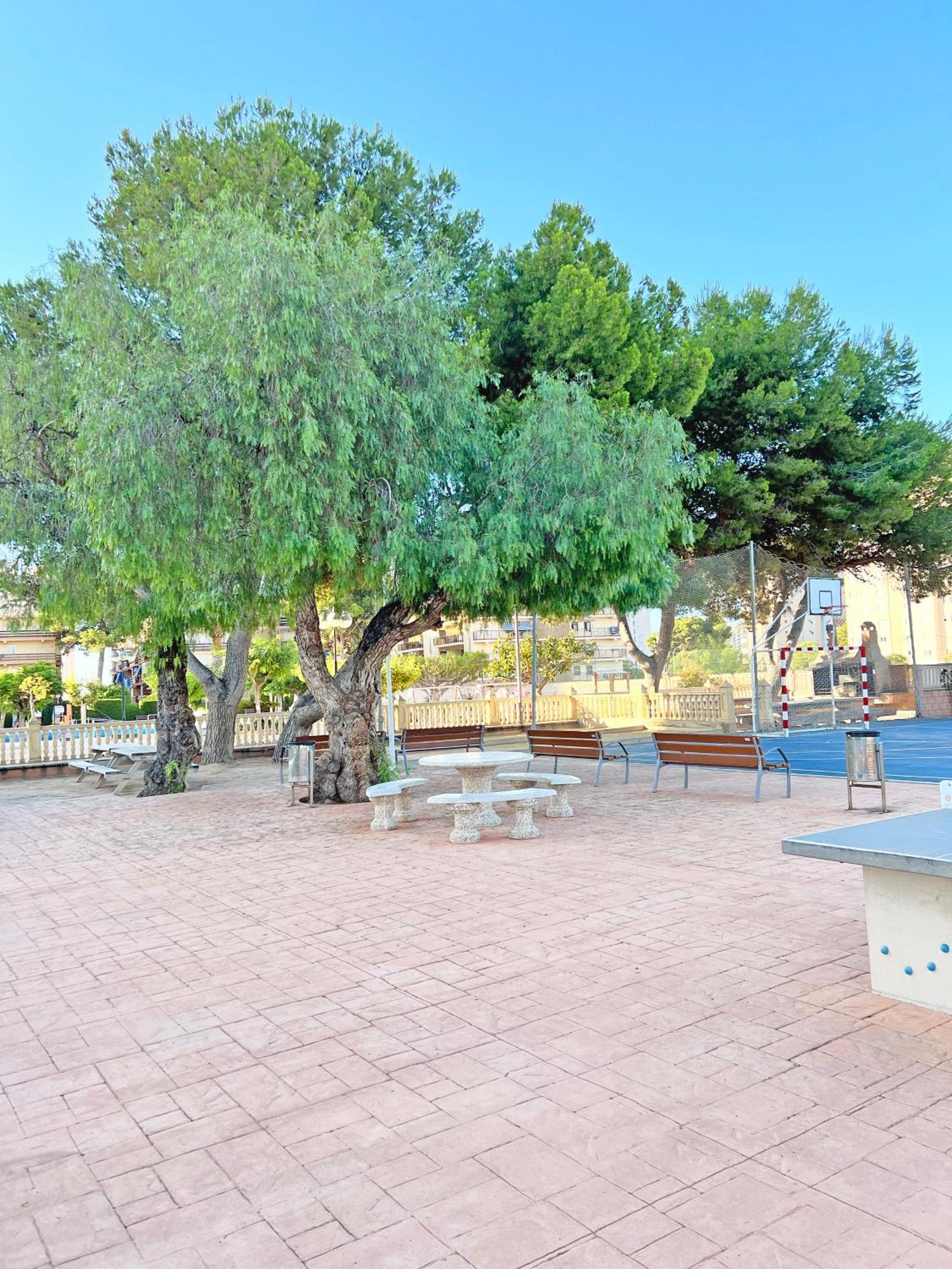 Coqueto Con Piscina, Nuevo A 50M Del Mar, Parking Gratis Apartment Ел Кампело Екстериор снимка